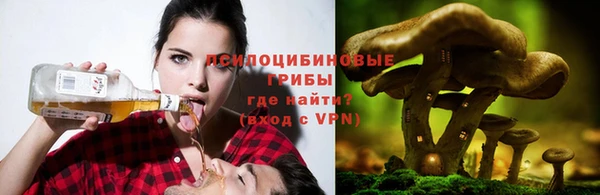 мдпв Бугульма