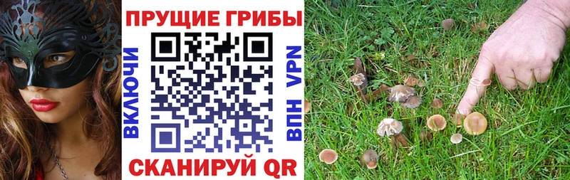МЕГА маркетплейс  Канаш  Галлюциногенные грибы Magic Shrooms  купить закладку 